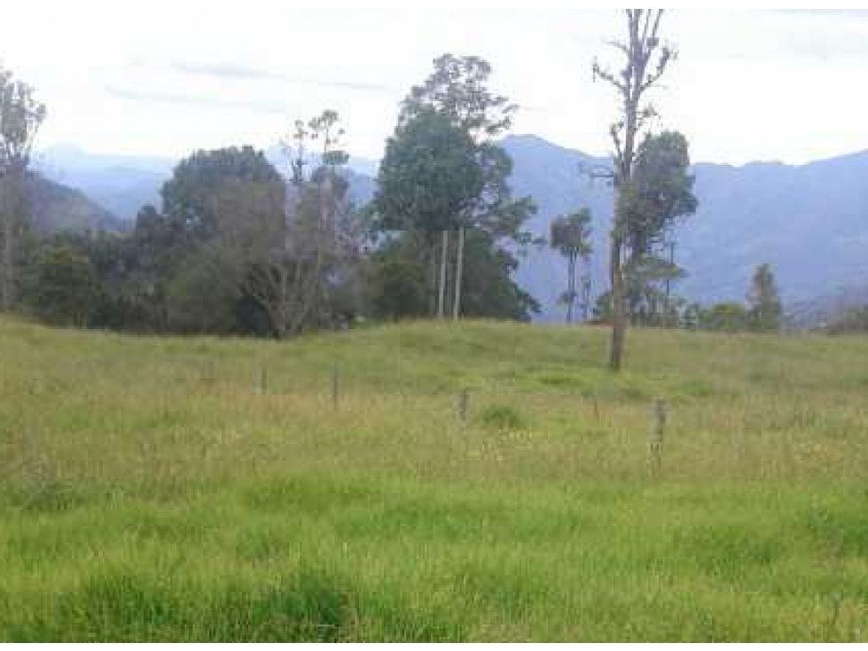 VENTA/PERMUTA FINCA A 8 KMS DE PACHO CUNDINAMARCA