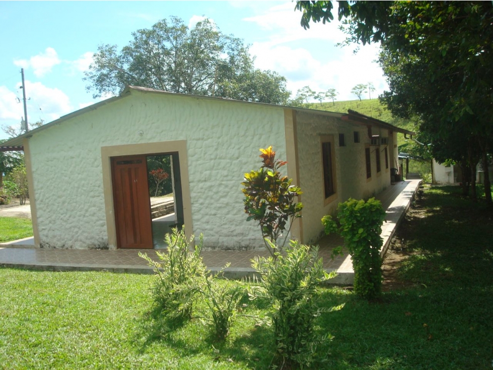 VENDO FINCA GANADERA EN PUERTO BERRIO CON EXCELENTE UBICACION