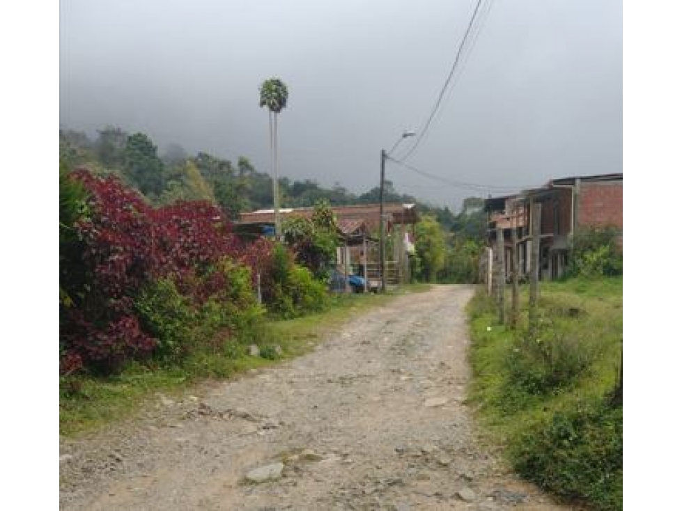 VENDO LOTE EN TAMESIS CERCA AL PARQUE