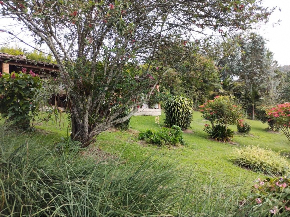 SE VENDE GRANDE Y HERMOSA FINCA - LA CEJA ANTIOQUIA