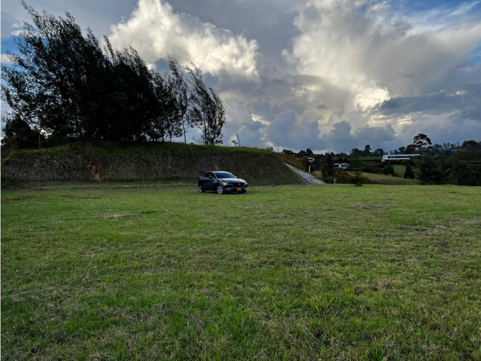 VENTA DE HERMOSO LOTE EN EL ALTO DE LAS PALMAS