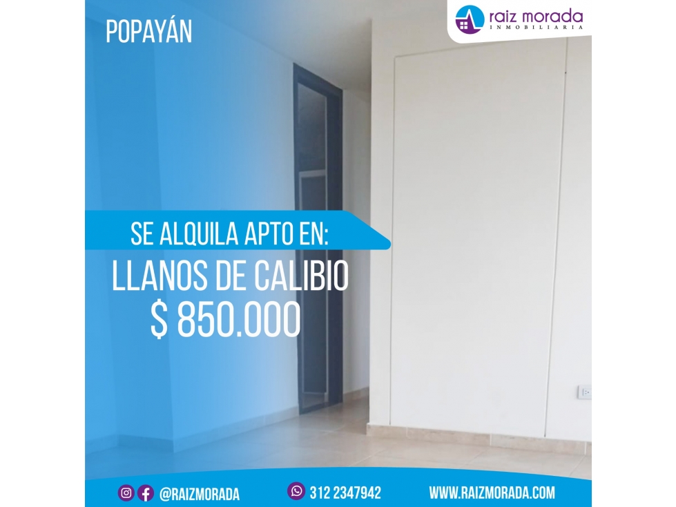 ALQUILER APARTAMENTO EN CONJUNTO LLANOS DE CALIBIO