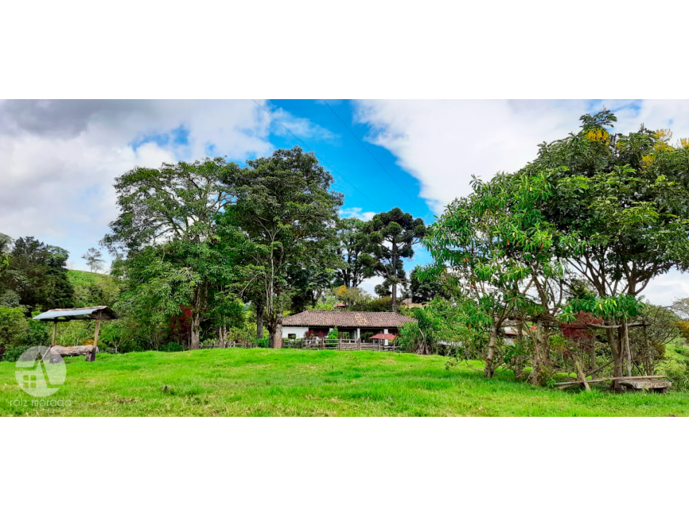 VENDO FINCA VEREDA SANTA BARBARA