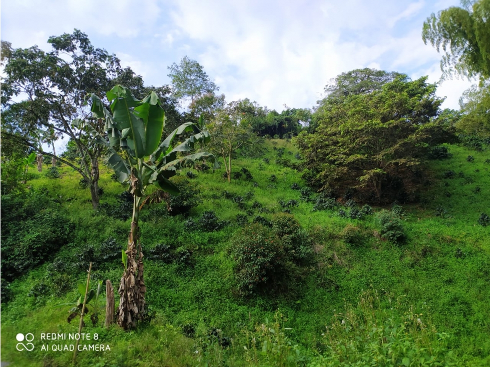 finca en venta via condina Pereira