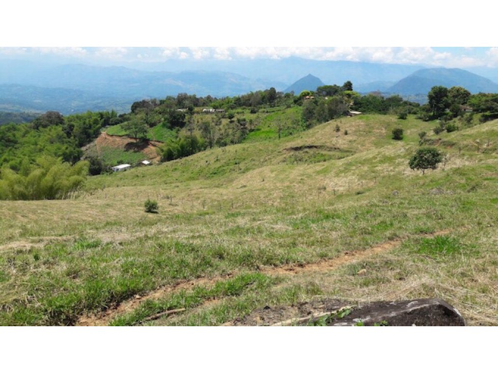 Lote en venta en Támesis Antioquia