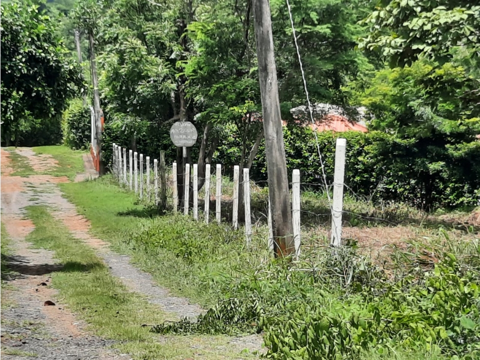 SE VENDE LOTE VIA PLANETA RICA