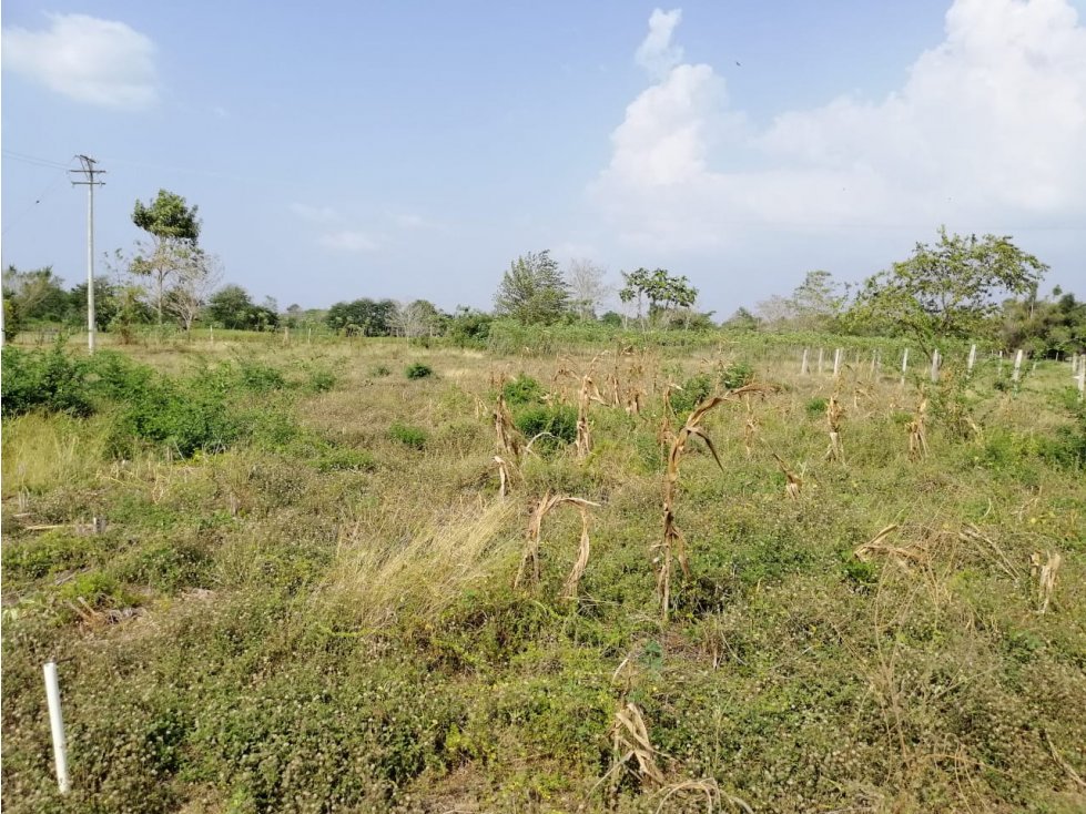 venta de lote san francisco,monteria