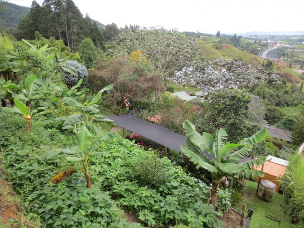 casa finca en venta Guarne Antioquia or801