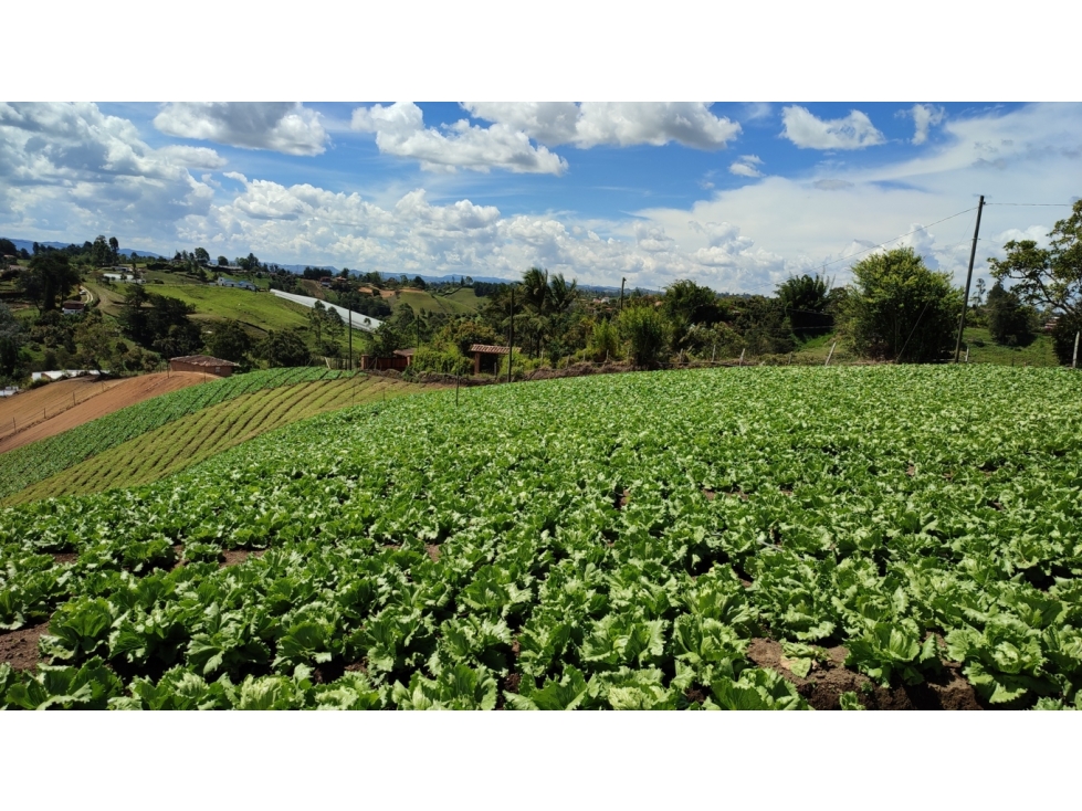 Finca en venta Marinilla Antioquia Vía Rionegro (parcelar)