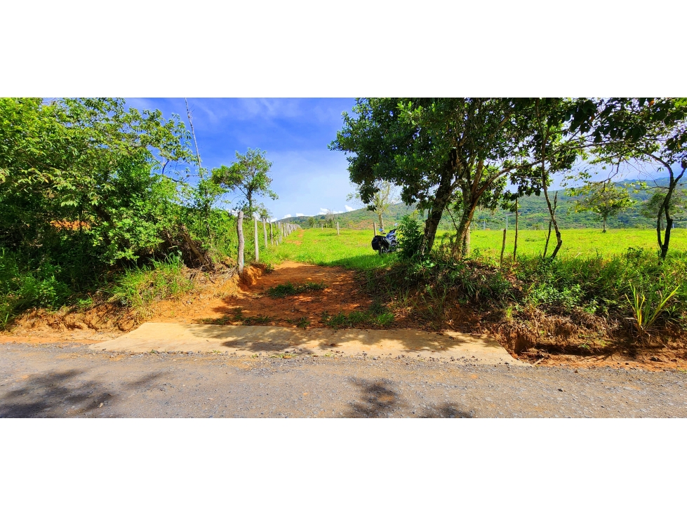 Vendo Parcela San Juan Barichara Vda. Llano 24.104 mts2