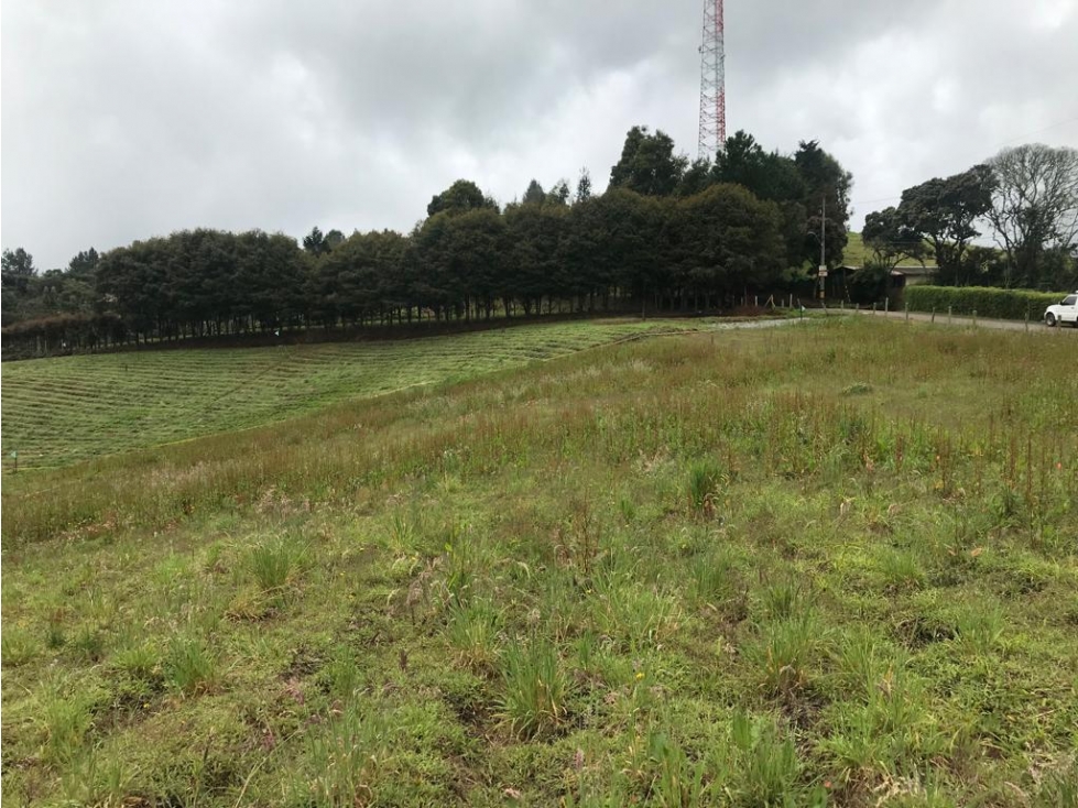 Lote en el ALTO de LAS PALMAS