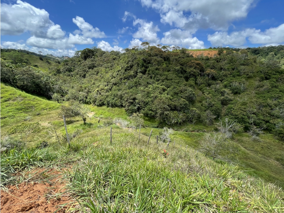 Lote de 8.300m2 en Yerbabuena. A solo 1k del Parque Principal.
