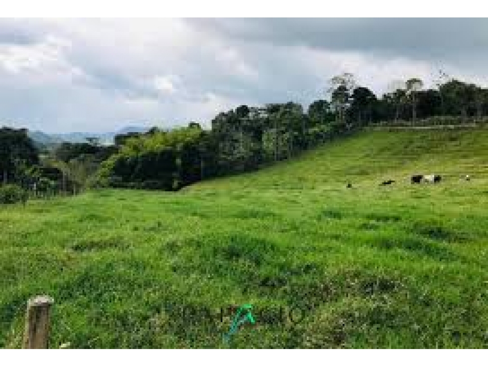 VENTA DE LOTE SALENTO QUINDIO