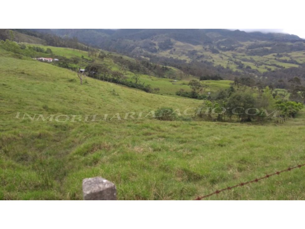 Finca Pacho, Cundinamarca, 40 Fanegadas A 22 km