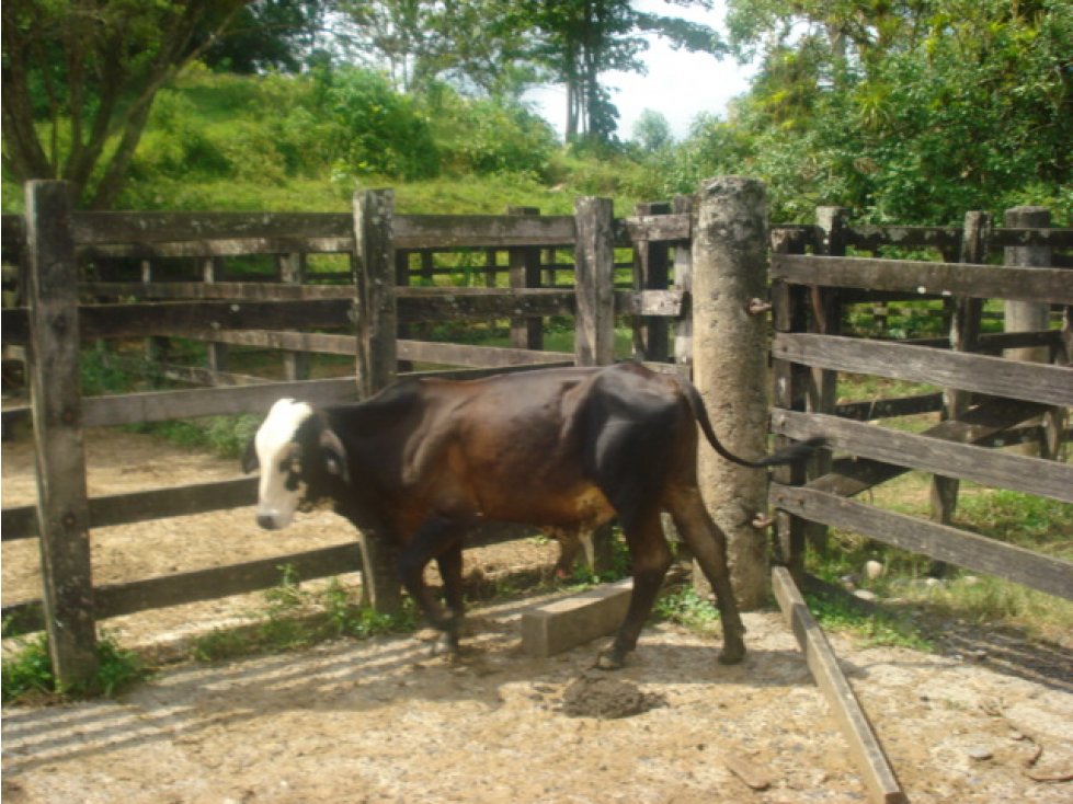 VENTA FINCA MAGDALENA MEDIO PUERTO SALGAR