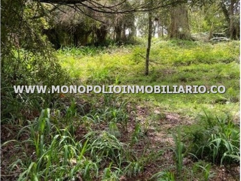 LOTE EN VENTA - SECTOR CERRO VERDE, SANTA ELENA COD: 23018
