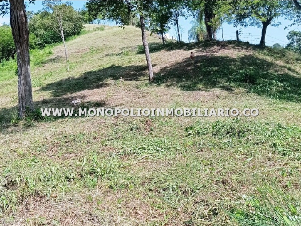 LOTE EN VENTA - SECTOR EL MORO, BETULIA COD: 24717