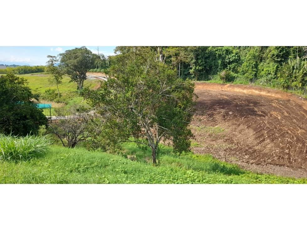SE VENDE LOTE EN CONDOMINIO DEL EJE CAFETERO
