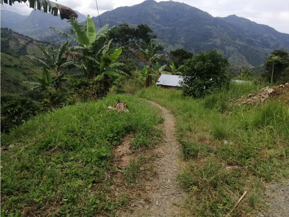 PARA LA VENTA HERMOSA FINCA EN ANSERMA CALDAS