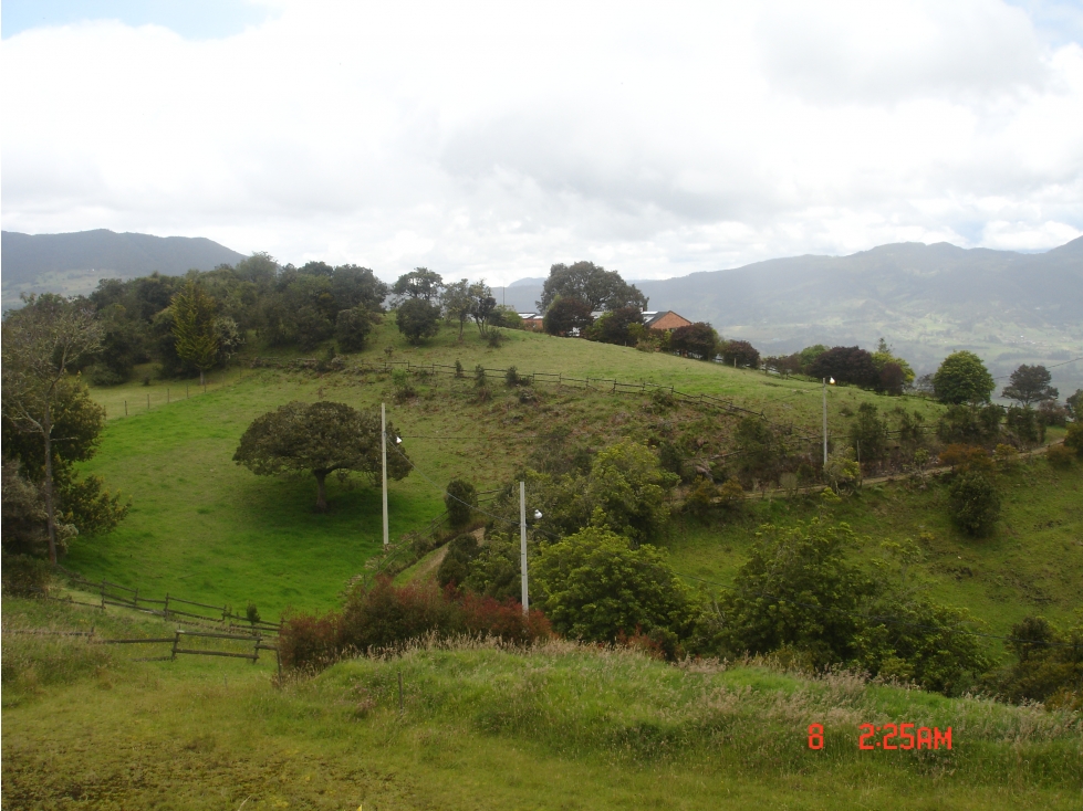 VENDO LOTE EN VEREDA SANTA HELENA - LA CALERA