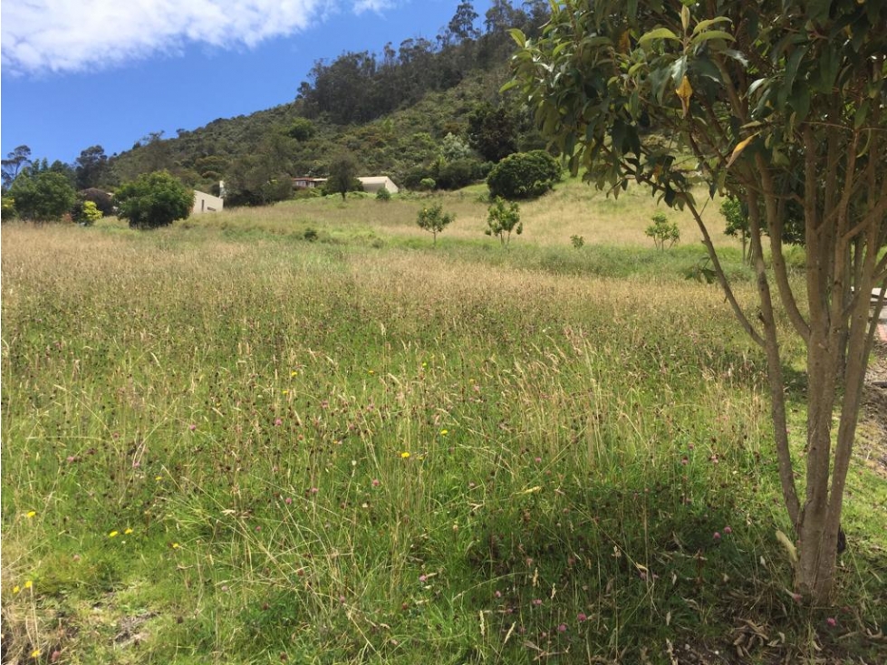 VENDO ÚLTIMO LOTE EN CONJUNTO LA CALERA - VEREDA LA TOMA