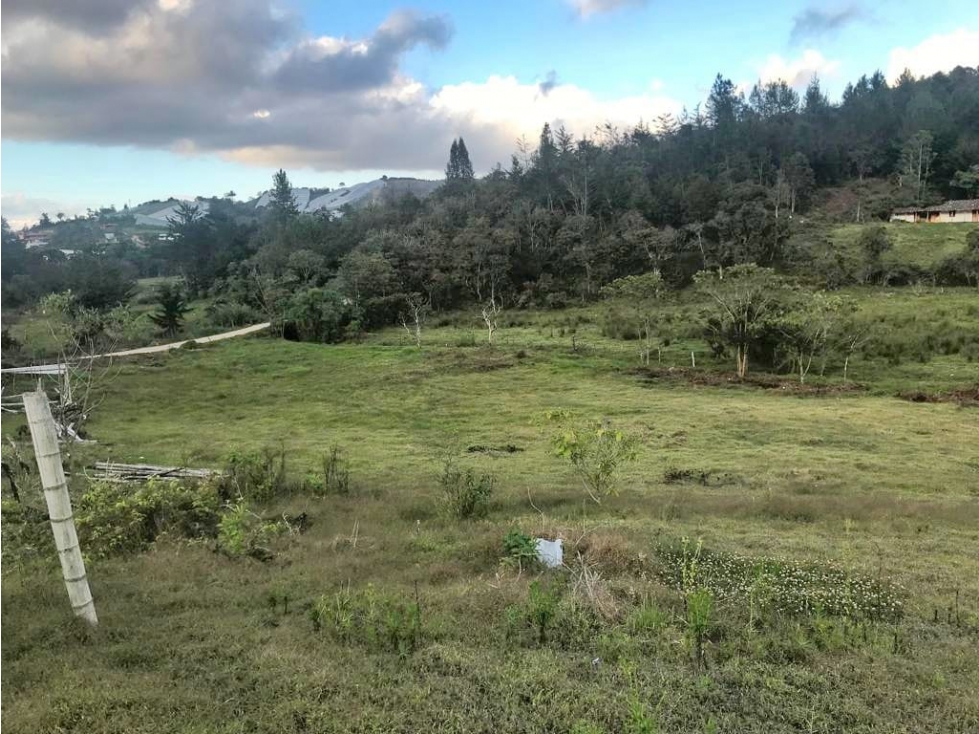 Lote en Venta Guarne Antioquia.