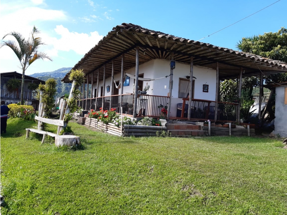 SE VENDE FINCA PRODUCTORA CERCA CHINCHINÁ VIA VILLAMARÍA 8 HECTÁ