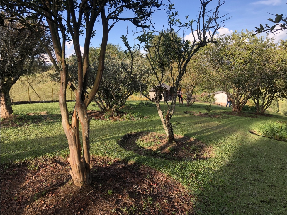 Lote Rionegro Vereda Ojo de Agua - Santa Ana