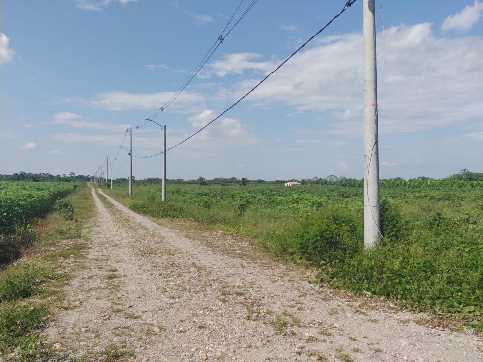 VENTA DE UNA HECTAREA CON ESCRITURA INDIVIDUAL CASTILLA LA NUEVA