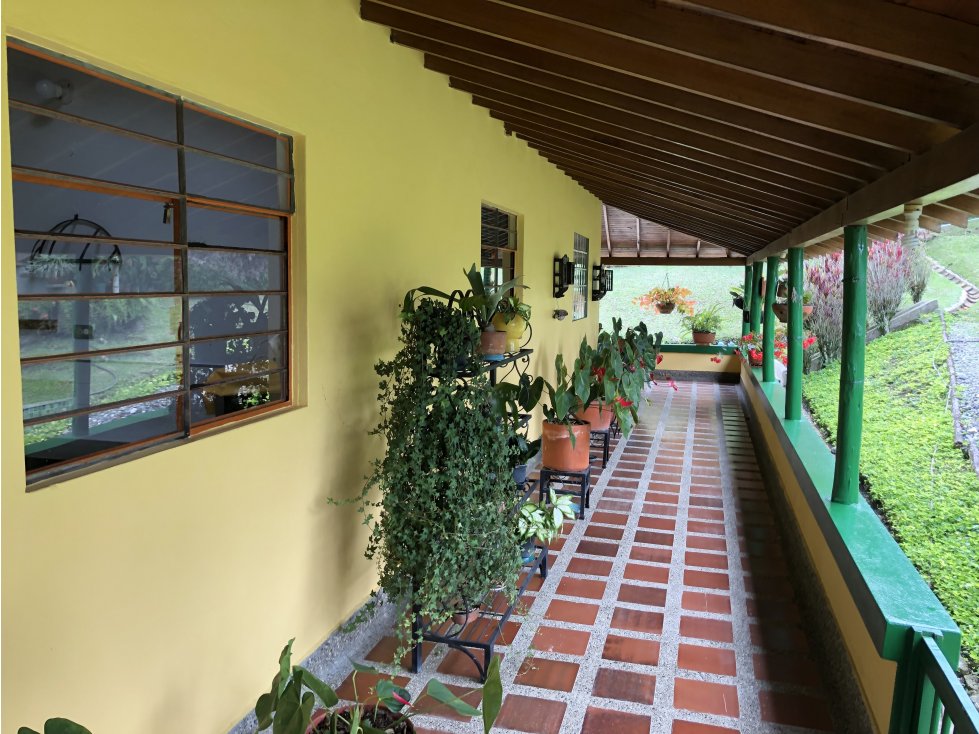 Venta Finca Fredonia - Suroeste Antioqueño