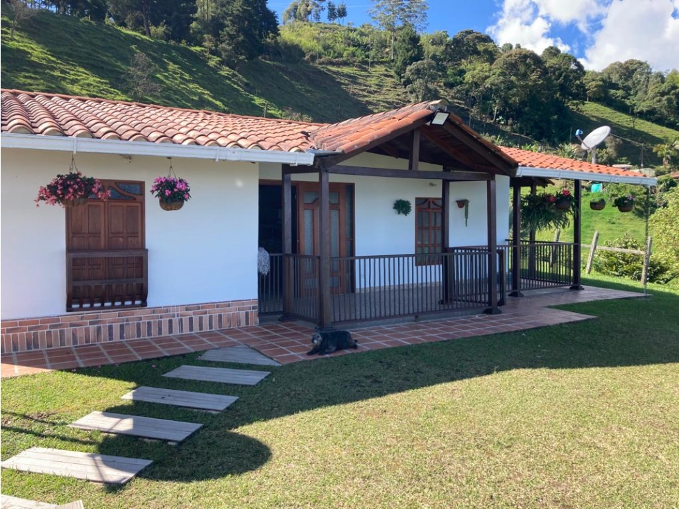FInca Vereda Uvital Fredonia Suroeste antioqueño