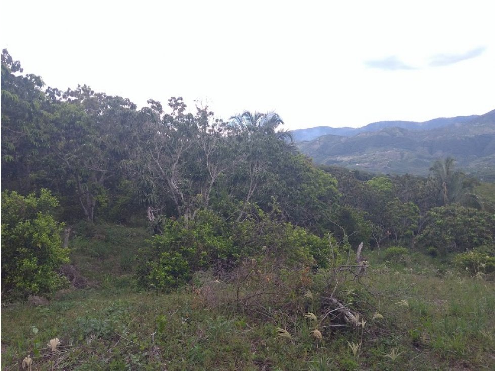 Finca con agua propia entre Anapoima - La Mesa