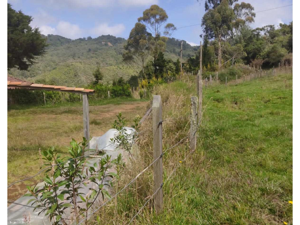 Venta de Finca Abejorral Antioquia
