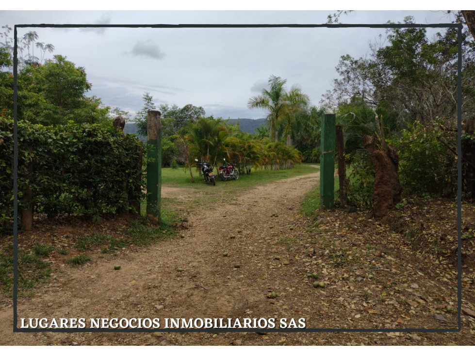 SE VENDE FINCA DE 23 Ha EN EL CARMEN DE APICALÁ TOLIMA