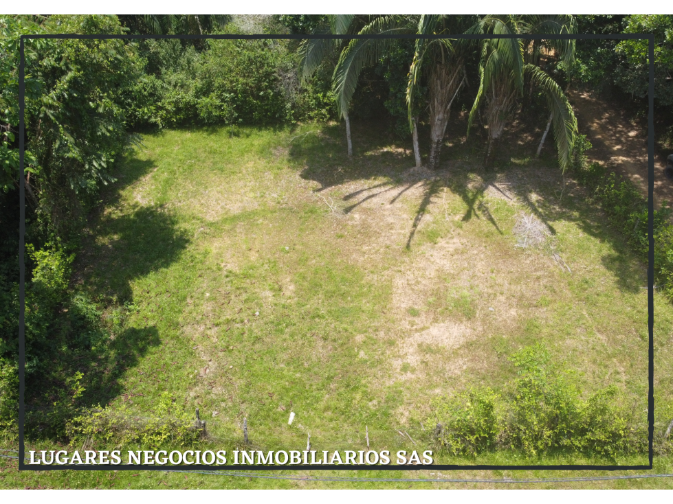 LOTE EN VENTA EN CARMEN DE APICALÁ TOLIMA 600 m2 (RURAL)