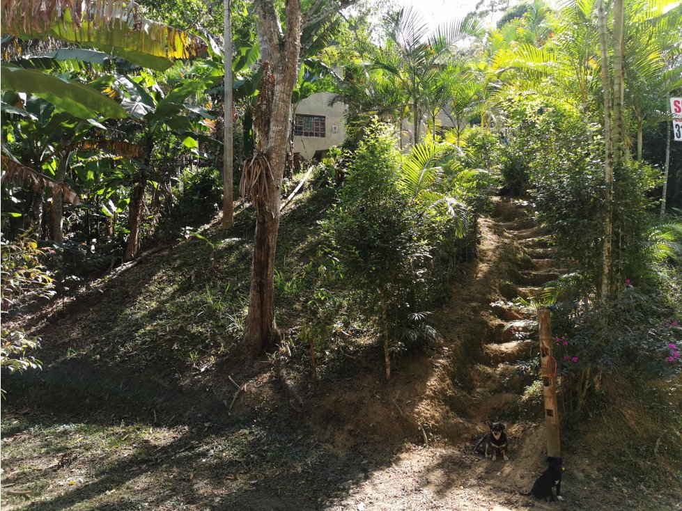 Vendo Finca en Quebradanegra