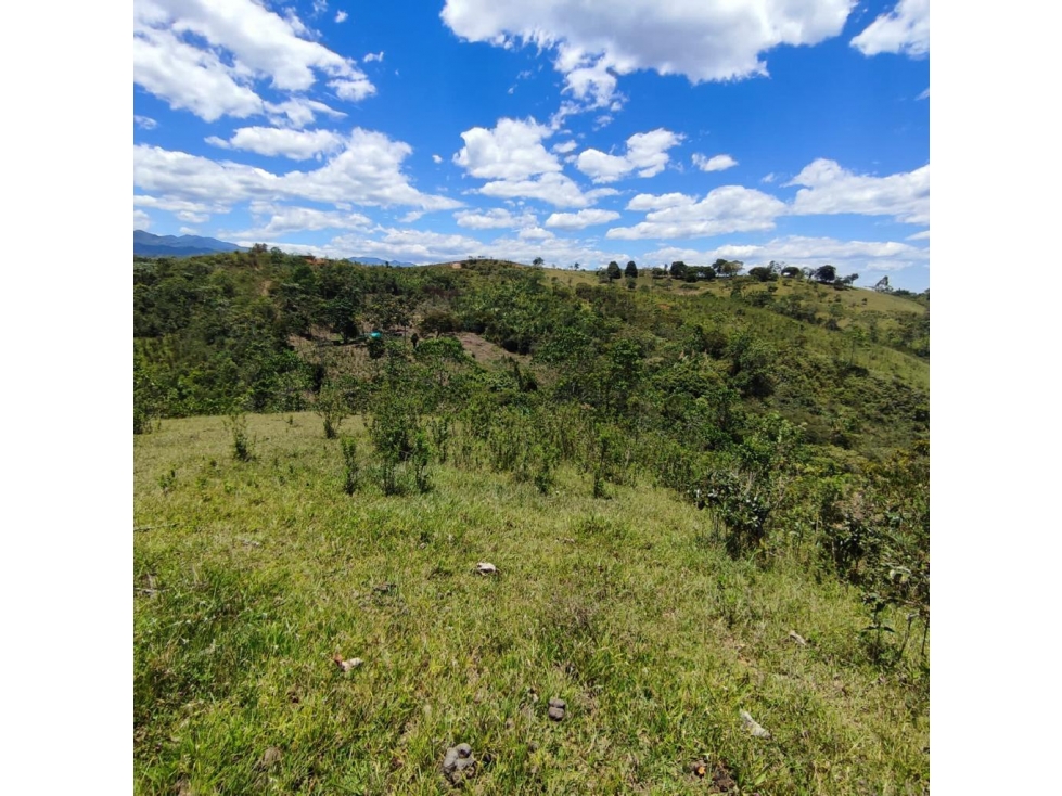 Finca  Venta Santander de Quilichao