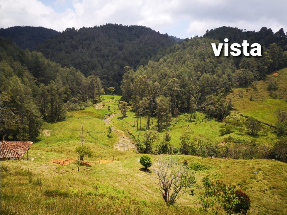 Lote en Venta en Guatapé - Guatape
