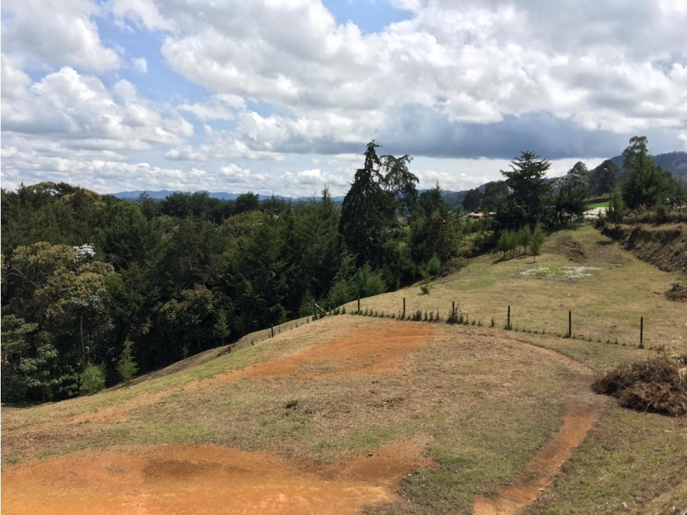 Lote en Llanogrande, vereda Pontezuela