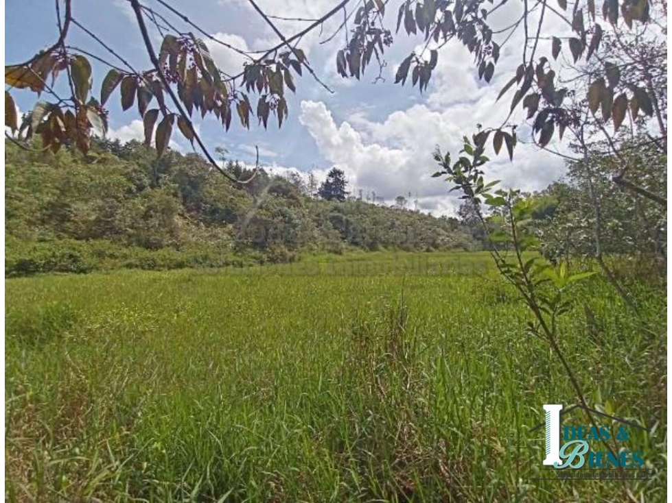 Lote En Venta Rionegro Sector Vereda La Mosca
