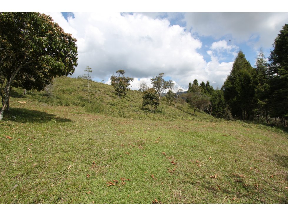 Lote industrial en venta- Guarne Antioquia