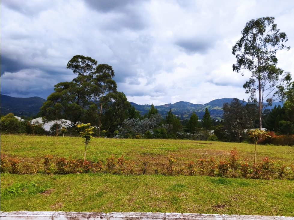 LOTE EN LA CEJA