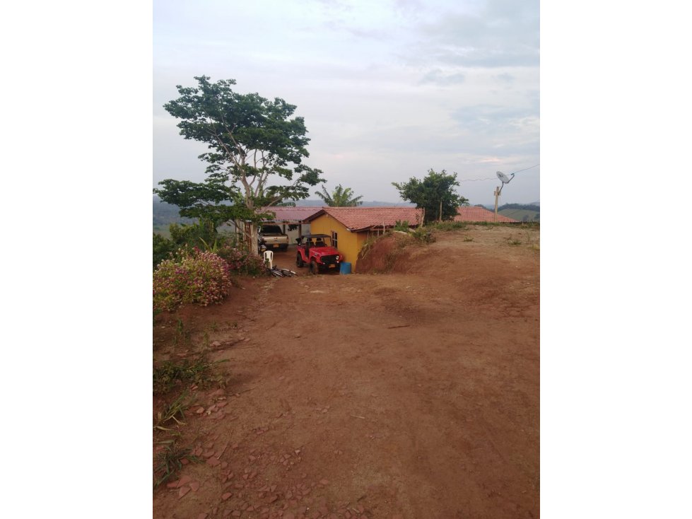 Venta casa campestre vereda la Brecha Maceo Antioquia