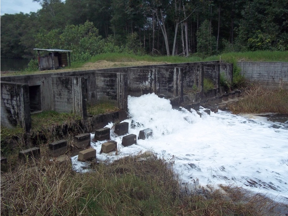 Venta de Lote Tumaco Nariño