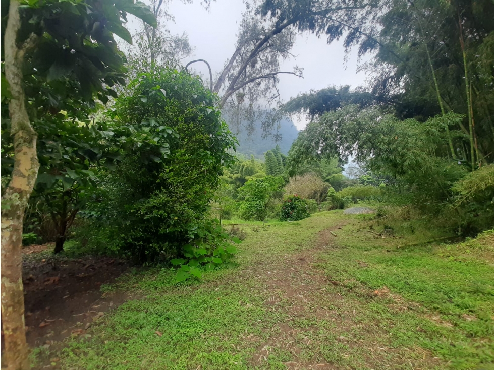 SE VENDE FINCA EN PANCE - SUR CALI