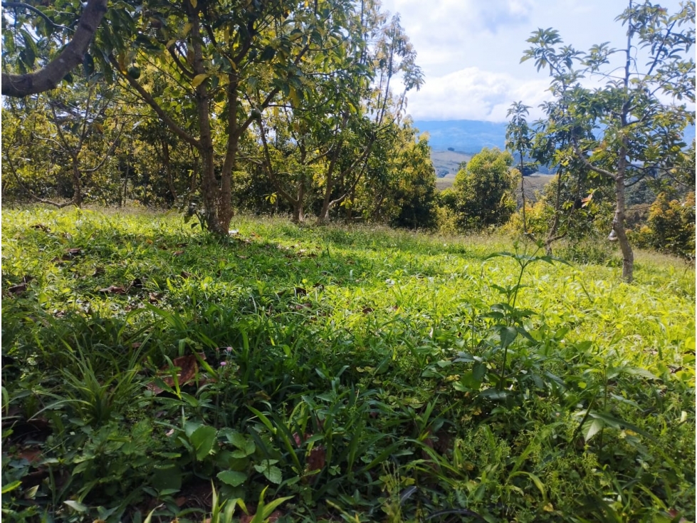 SE VENDE LOTE CAMPESTRE EN EL KM 30 - EL CARMEN