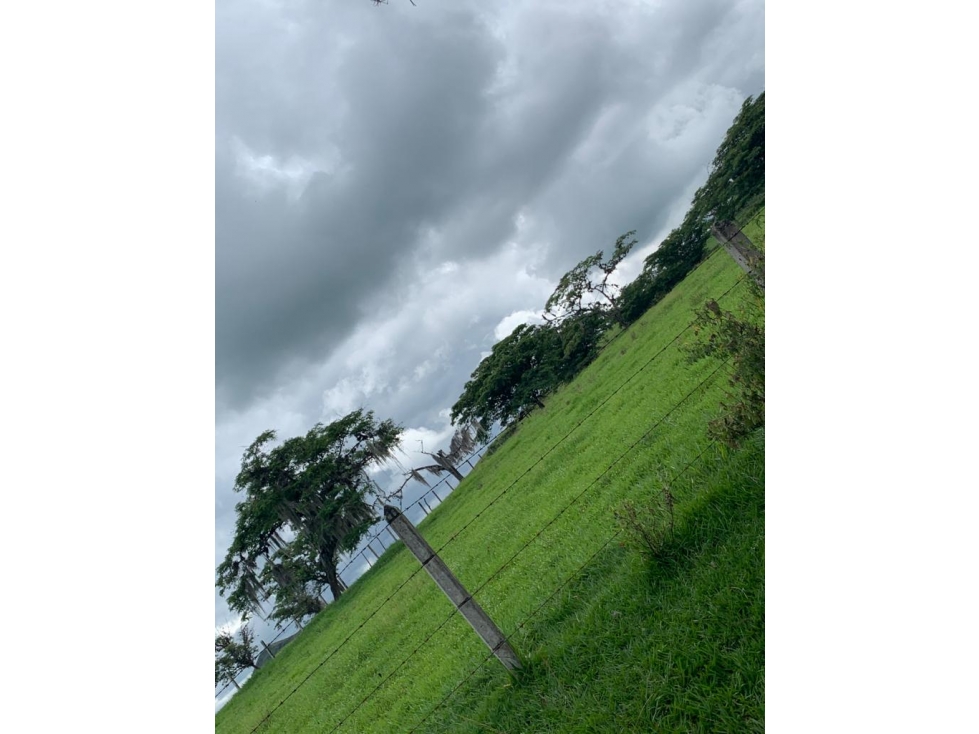 SE VENDE LOTE EN TULUA - VALLE DEL CAUCA