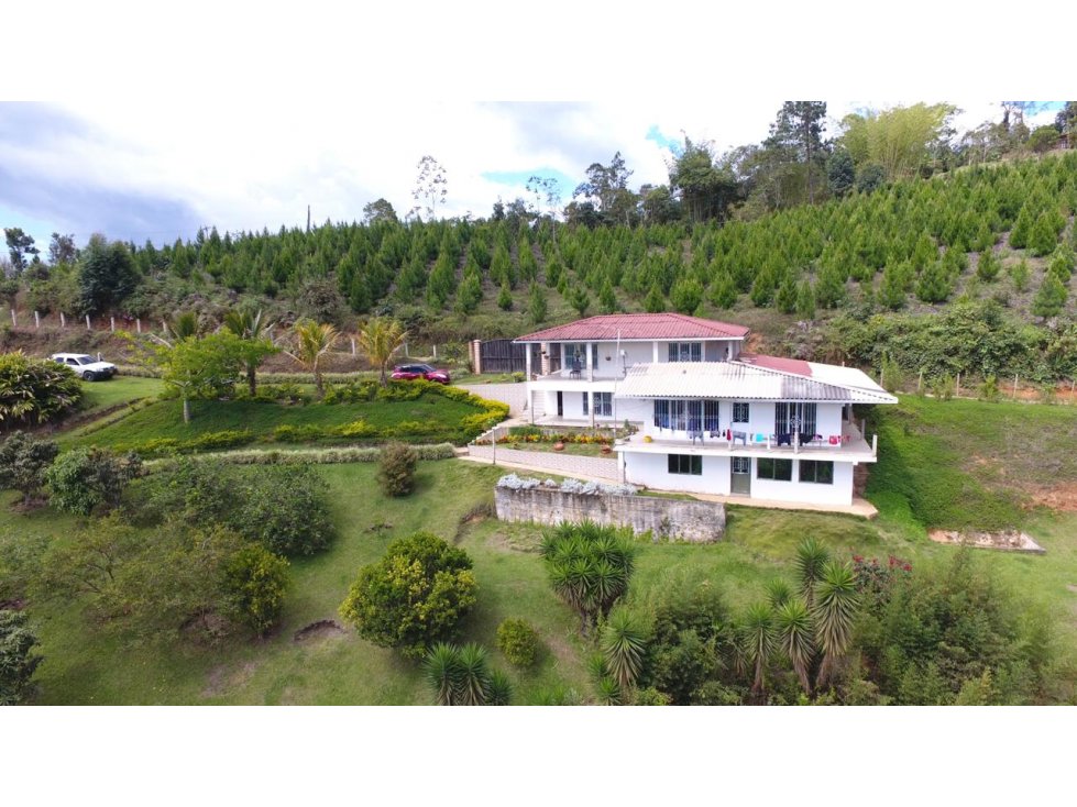 Finca en venta en vijes