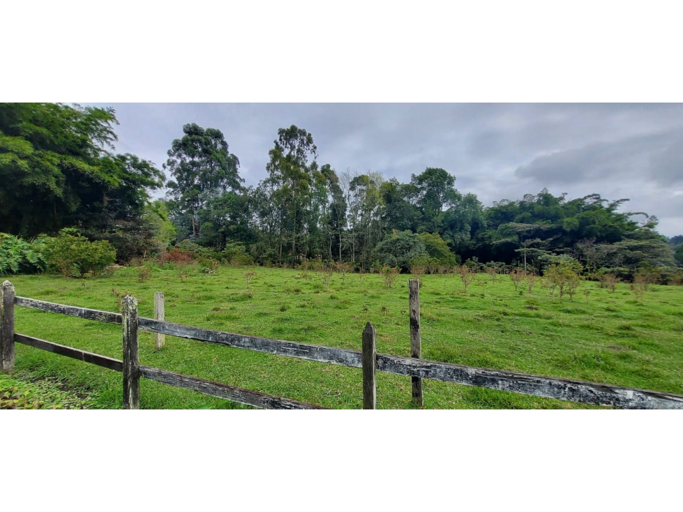 Lote en Venta en el Tablazo en Rionegro Antioquia