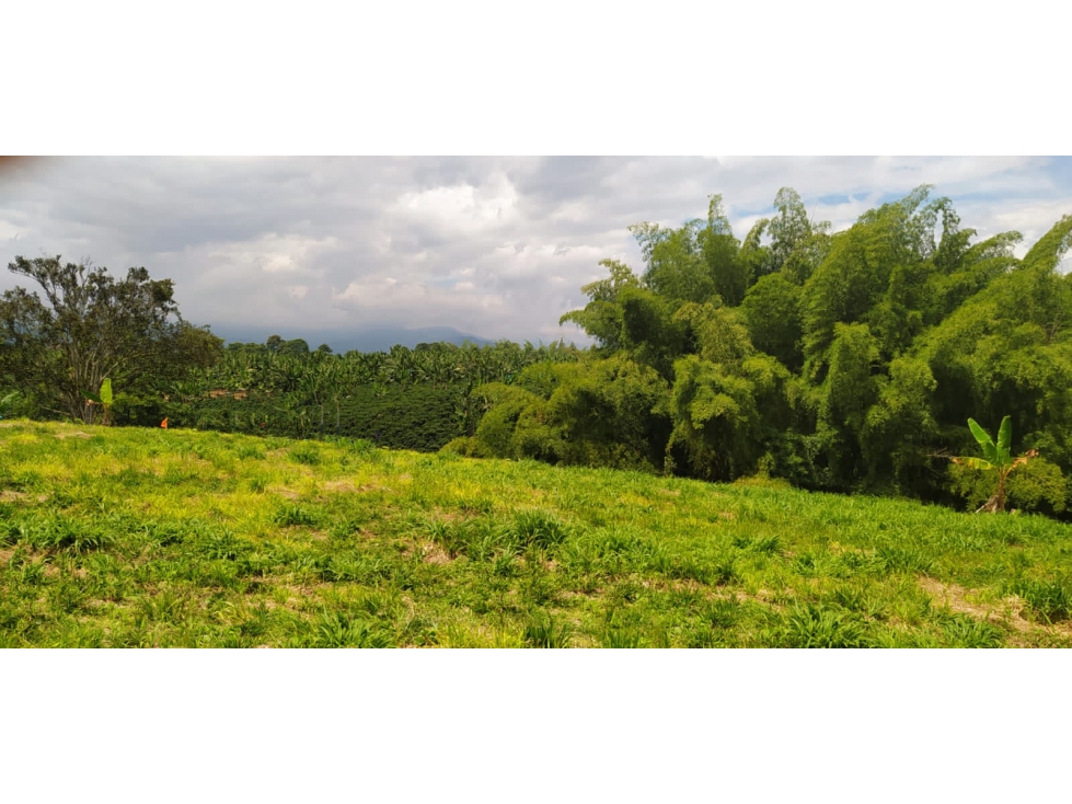 Lote en venta cerca de Armenia (Caimo) Quindío